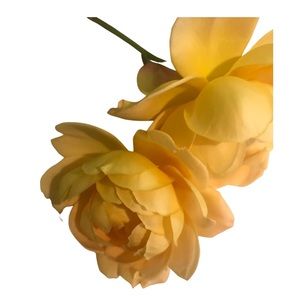 Meet your Posher, Bri